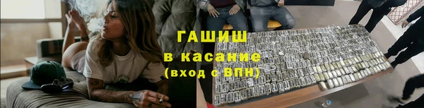 шишки Алзамай