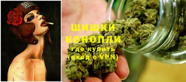 шишки Алексеевка