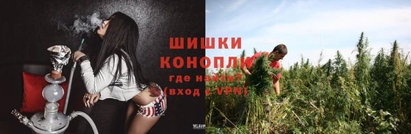 шишки Алексеевка
